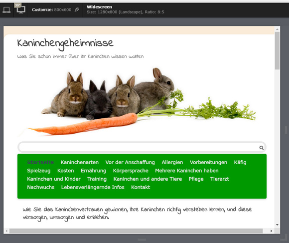 Responsive Design