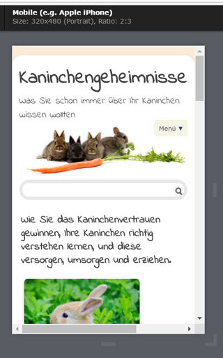 Responsive Design