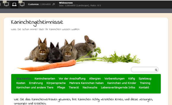 Responsive Design